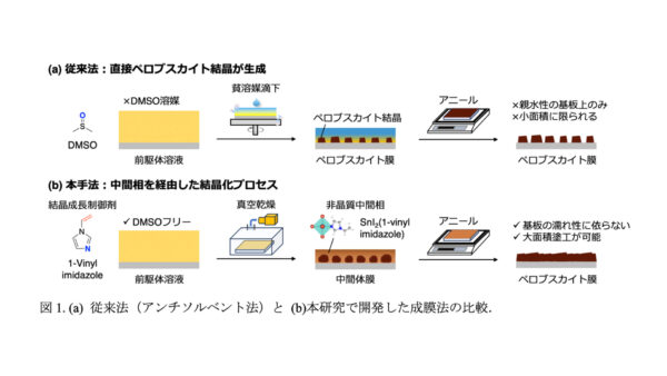 鉛フリー時代の幕開けへ、京大が切り拓くスズペロブスカイト太陽電池の新製膜技術