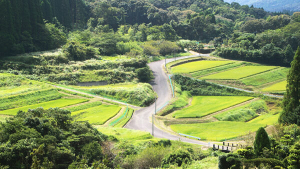 中山間地から生まれた新しい再エネのかたち、営農型太陽光が拓く持続可能な農業