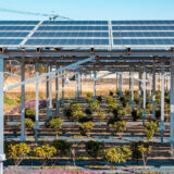 営農型太陽光は“農業再生”の突破口となるか、官民連携で広がる可能性