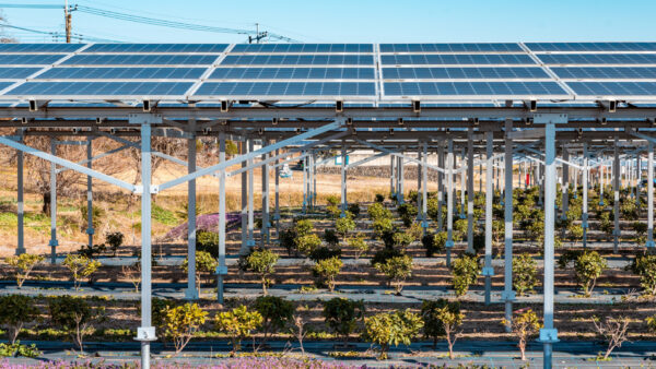 営農型太陽光は“農業再生”の突破口となるか、官民連携で広がる可能性