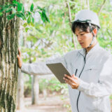 国の再エネ調達に「環境破壊チェック」義務化へ、グリーンウォッシュに歯止めをかける制度改革の意義