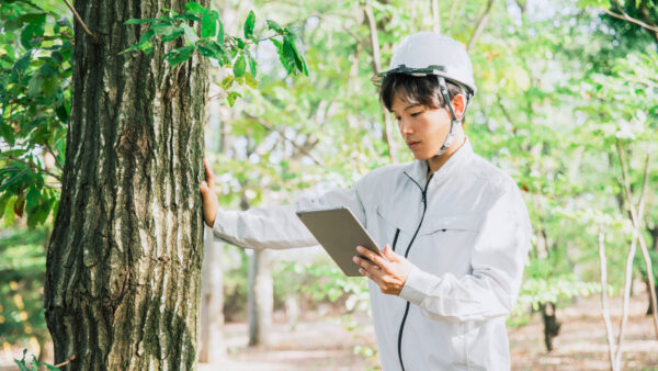 国の再エネ調達に「環境破壊チェック」義務化へ、グリーンウォッシュに歯止めをかける制度改革の意義