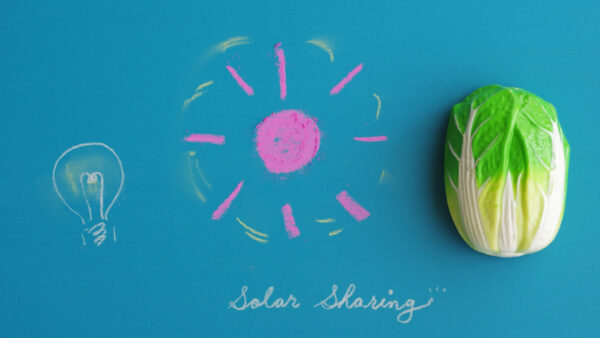 ソーラーシェアリング統計が示す転換点、FIT特需の終焉と「担い手」63%時代の到来