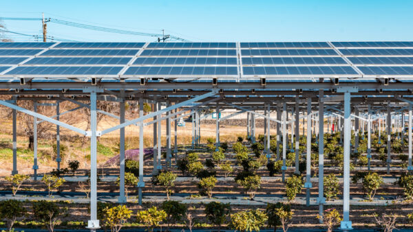 「動的最適化」が実現する農業と発電の両立──出光の可動式営農型が示す国内440万ha市場の可能性