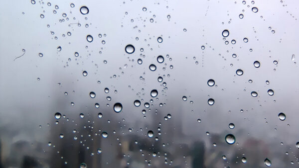 「雨の日は損」から「雨の日も稼ぐ」へ──100ナノメートルの保護膜が実現する全天候型発電