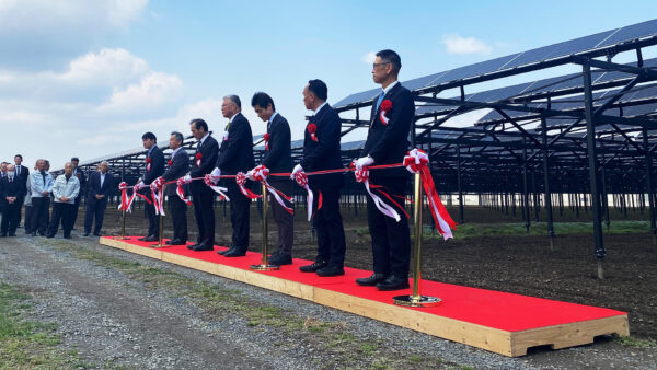 宮城県美里町・営農型太陽光発電設備の設計・資材調達・施工監理を担当